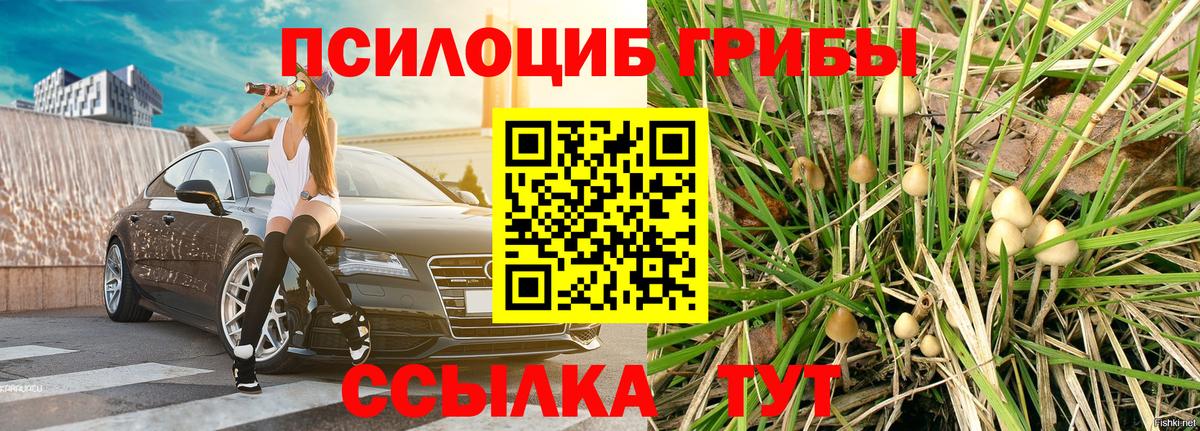 Псилоцибиновые грибы GOLDEN TEACHER Кудрово