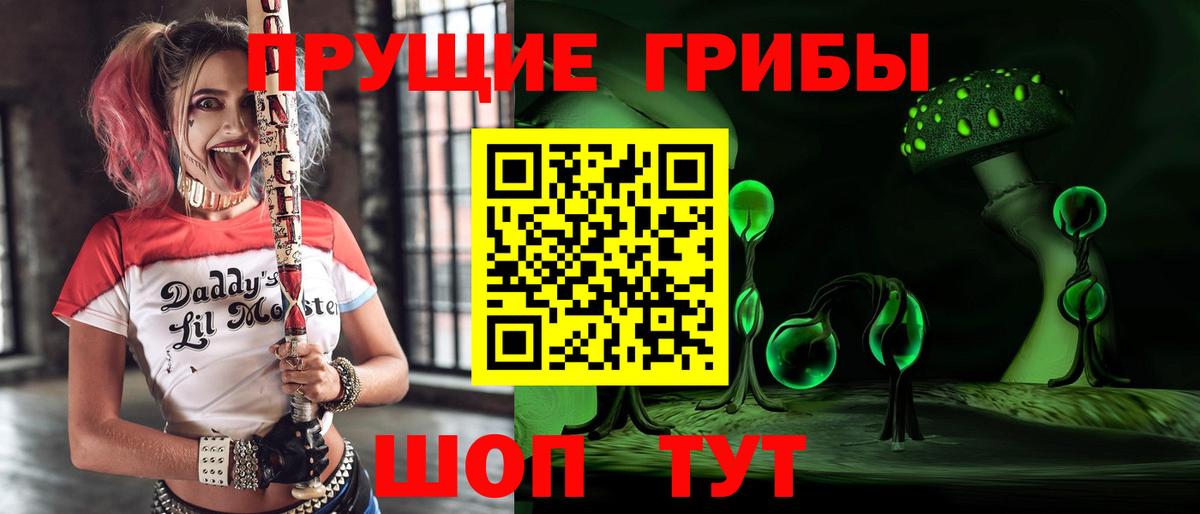 Галлюциногенные грибы GOLDEN TEACHER  Вход с VPN  Псилоцибиновые грибы Psilocybine cubensis  Кудрово 